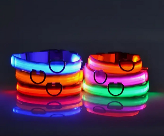 Glitz LED Fashion Dog Collar for Nighttime Walks