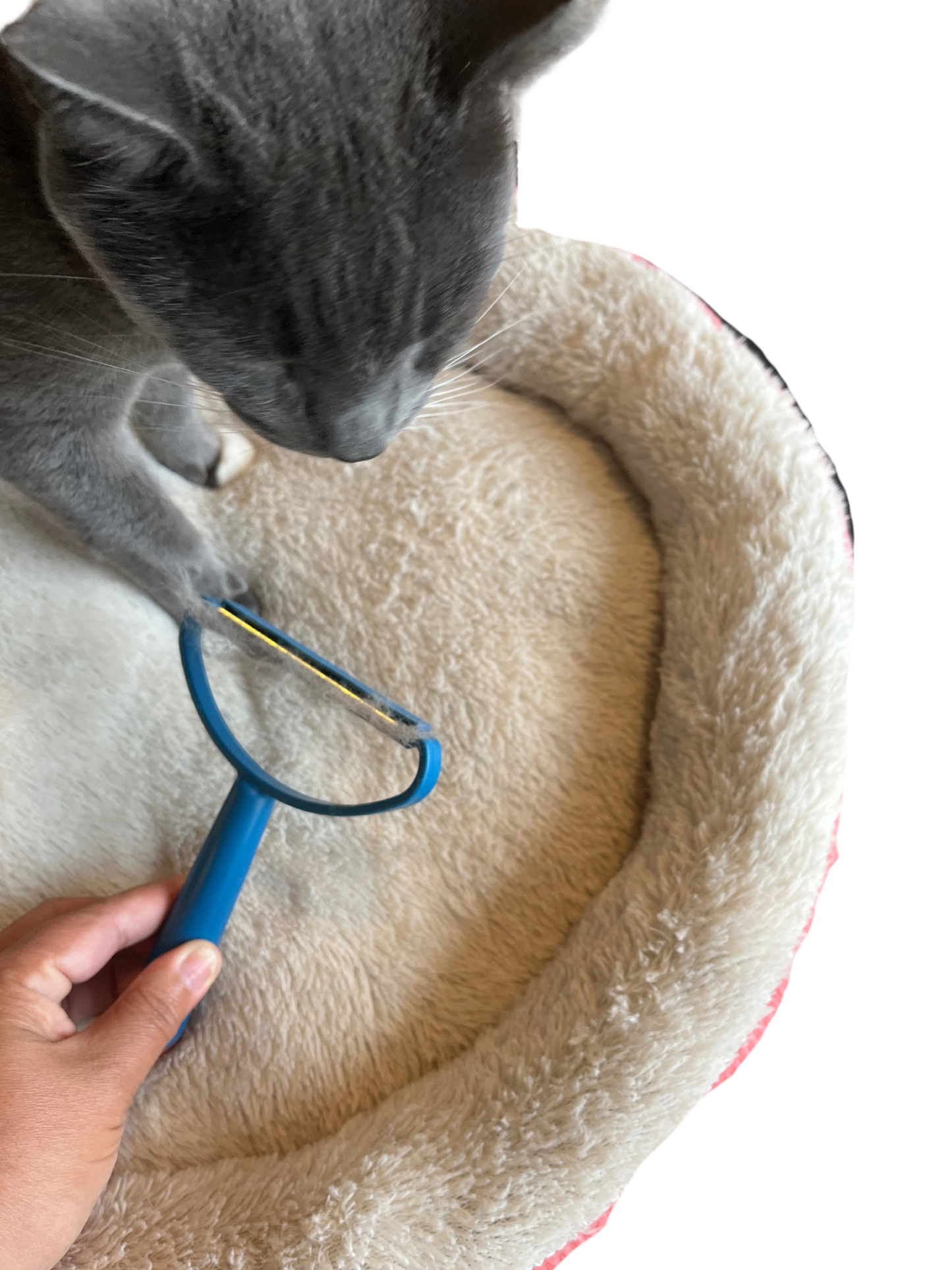 Glitz Manual Scraper Pet Hair and Fur Remover