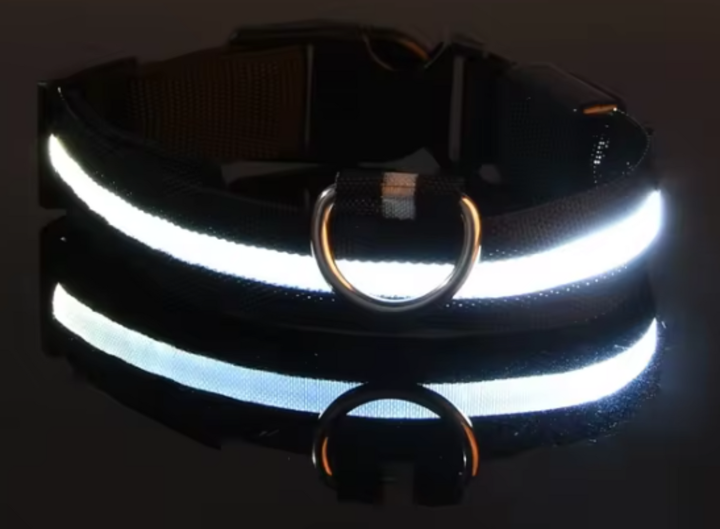 Glitz LED Fashion Dog Collar for Nighttime Walks