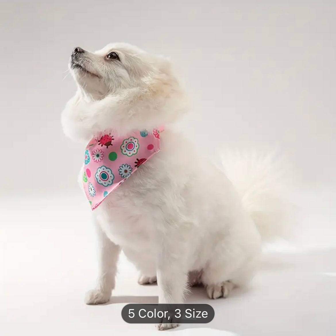 Glitz Fashion Adjustable Pet Bandana Collar