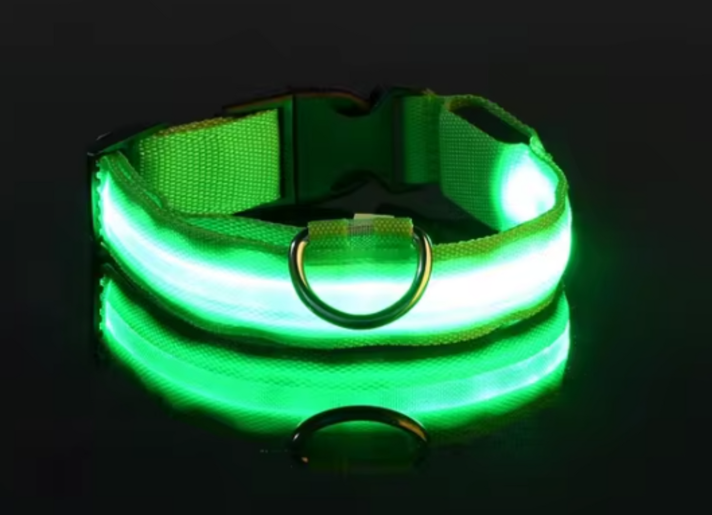 Glitz LED Fashion Dog Collar for Nighttime Walks