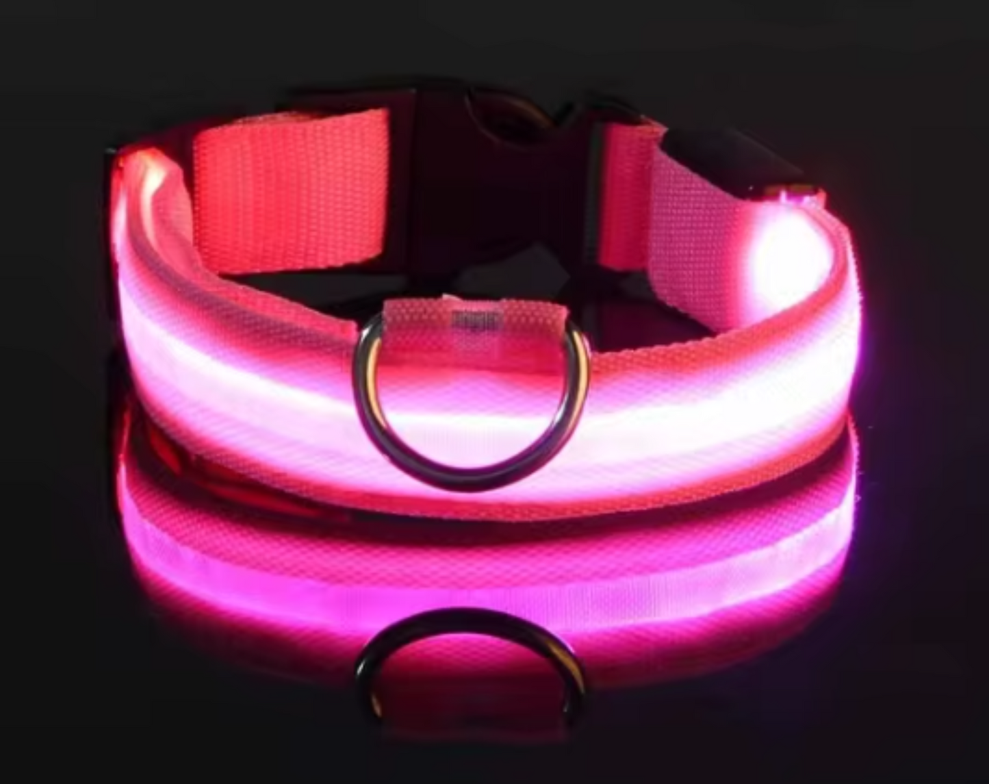 Glitz LED Fashion Dog Collar for Nighttime Walks